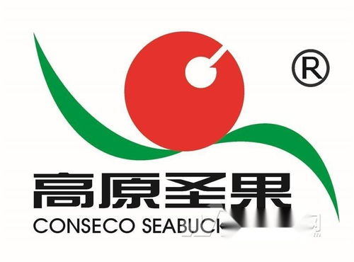 高原圣果沙棘制品 同順廣告傳媒，讓健康與品牌同頻共振