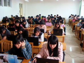 建筑裝飾工程技術(shù)專業(yè)中的工程技術(shù)服務(wù)